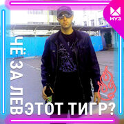  ,   , 36 ,     , c 