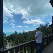 ���������� ��������-��-������, ���� ������� �������, 37 ���, ������������ ��� ������, ����� � ���������