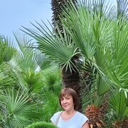 ���������� ���������, ���� ������� ���������, 61 ���, ������������ ��� c�������� ���������, ���������