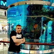 ���������� ������, ���� ������� ����, 43 ����, ������������ 