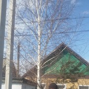  ,   , 55 ,     , c 