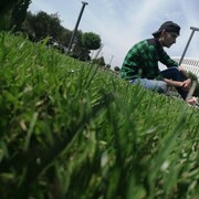 ���������� ���������, ���� ������� ������, 26 ���, ������������ ��� ������, ����� � ���������, c�������� ���������