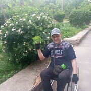 ���������� �������, ���� ������� �������, 44 ����, ������������ ��� ������, ����� � ���������