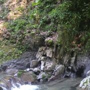  ,   , 44 ,   ,   , c , 