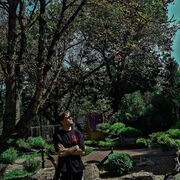 ���������� ���������, ���� ������� ����, 33 ����, ������������ ��� ����� � ���������, c�������� ���������