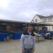  ,   Shaxrux, 31 ,     , c 