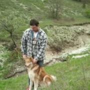 ���������� ������������, ���� ������� �����, 41 ���, ������������ ��� ������