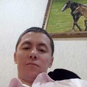 ���������� ������, ���� ������� Erbol, 40 ���, ������������ ��� ������, ����� � ���������, c�������� ���������