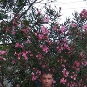  ,  , 38