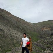  ,   , 31 ,   