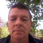  ,  , 53