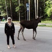  ,   , 53 ,   c 