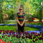  -,   , 61 ,   c 