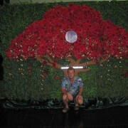  ,   , 46 ,     , c 