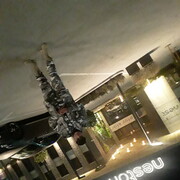 ���������� �������, ���� ������� Laziz, 40 ���, ������������ ��� ������, ����� � ���������