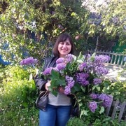  ,   Marina, 45 ,   ,   , c 