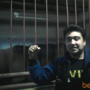 ���������� �������, ���� ������� Behruz, 40 ���, ������������ ��� ����� � ���������, c�������� ���������