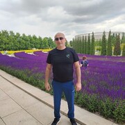 ���������� ���������, ���� ������� Davo, 43 ����, ������������ ��� ������, ����� � ���������