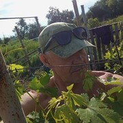  ,   , 56 ,   ,   , c , 