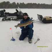 ���������� �����������, ���� ������� ���������, 46 ���, ������������ ��� ������, ����� � ���������, c�������� ���������