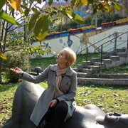 ���������� �����������, ���� ������� ������, 48 ���, ������������ ��� c�������� ���������