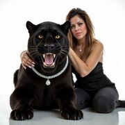 ���������� ������ ��������, ���� ������� �������, 36 ���, ������������ ��� c�������� ���������