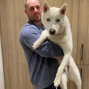 ���������� ������, ���� ������� �������, 43 ����, ������������ ��� ������, ����� � ���������, c�������� ���������