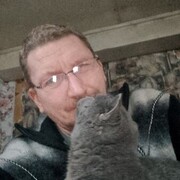 ���������� ��������, ���� ������� ����, 46 ���, ������������ ��� c�������� ���������