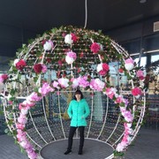 ���������� �����, ���� ������� �������, 36 ���, ������������ ��� ������, ����� � ���������, c�������� ���������