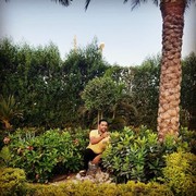 ���������� ������, ���� ������� Hamada, 44 ����, ������������ ��� ������, ����� � ���������, c�������� ���������