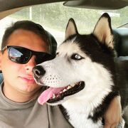 ���������� �����, ���� ������� �����, 26 ���, ������������ ��� ������, ����� � ���������, c�������� ���������, ���������