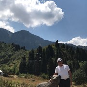  ,   , 63 ,   