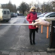 ���������� ������, ���� ������� ������, 53 ����, ������������ ��� ������, ����� � ���������, c�������� ���������