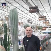   ,   , 48 ,     , c 