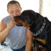 ���������� ����������, ���� ������� �������, 56 ���, ������������ ��� ������, ����� � ���������, c�������� ���������