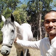 ���������� �������, ���� ������� ��������, 27 ���, ������������ ��� ����� � ���������, c�������� ���������