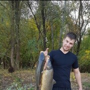 ���������� ���������, ���� ������� �������, 43 ����, ������������ ��� ������, ����� � ���������, c�������� ���������, ���������