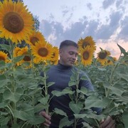   ,   , 31 ,   ,   , c , 