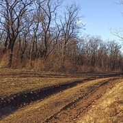 ���������� ������, ���� ������� �����, 32 ����, ������������ ��� ������, ����� � ���������, ���������