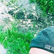 ���������� ��������, ���� ������� ����, 102 ����, ������������ ��� ������, ����� � ���������, ���������