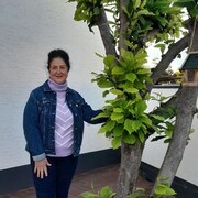 ���������� �������, ���� ������� ������, 70 ���, ������������ ��� c�������� ���������, ���������