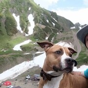 ,   , 46 ,   ,   