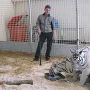 ���������� ������-��-����, ���� ������� ����, 37 ���, ������������ ��� ������, ����� � ���������, c�������� ���������, ���������