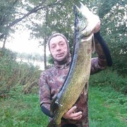  ,   VITYA, 48 ,   ,   , c 