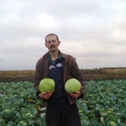 ���������� �����������, ���� ������� ������, 60 ���, ������������ ��� ������, ����� � ���������, c�������� ���������