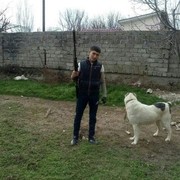 ���������� �������, ���� ������� Jaloliddin, 43 ����, ������������ ��� ������, ����� � ���������, c�������� ���������