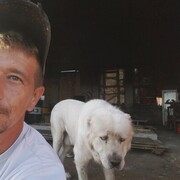 ���������� ���������, ���� ������� ������, 34 ����, ������������ ��� ������, ����� � ���������, c�������� ���������, ���������