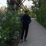 ���������� ������, ���� ������� ����, 37 ���, ������������ ��� ������, ����� � ���������