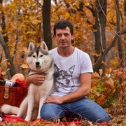 ���������� �����������, ���� ������� �������, 46 ���, ������������ ��� ������, ����� � ���������, c�������� ���������