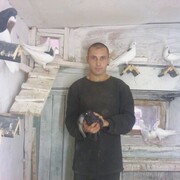 ,   , 37 ,     , c , 